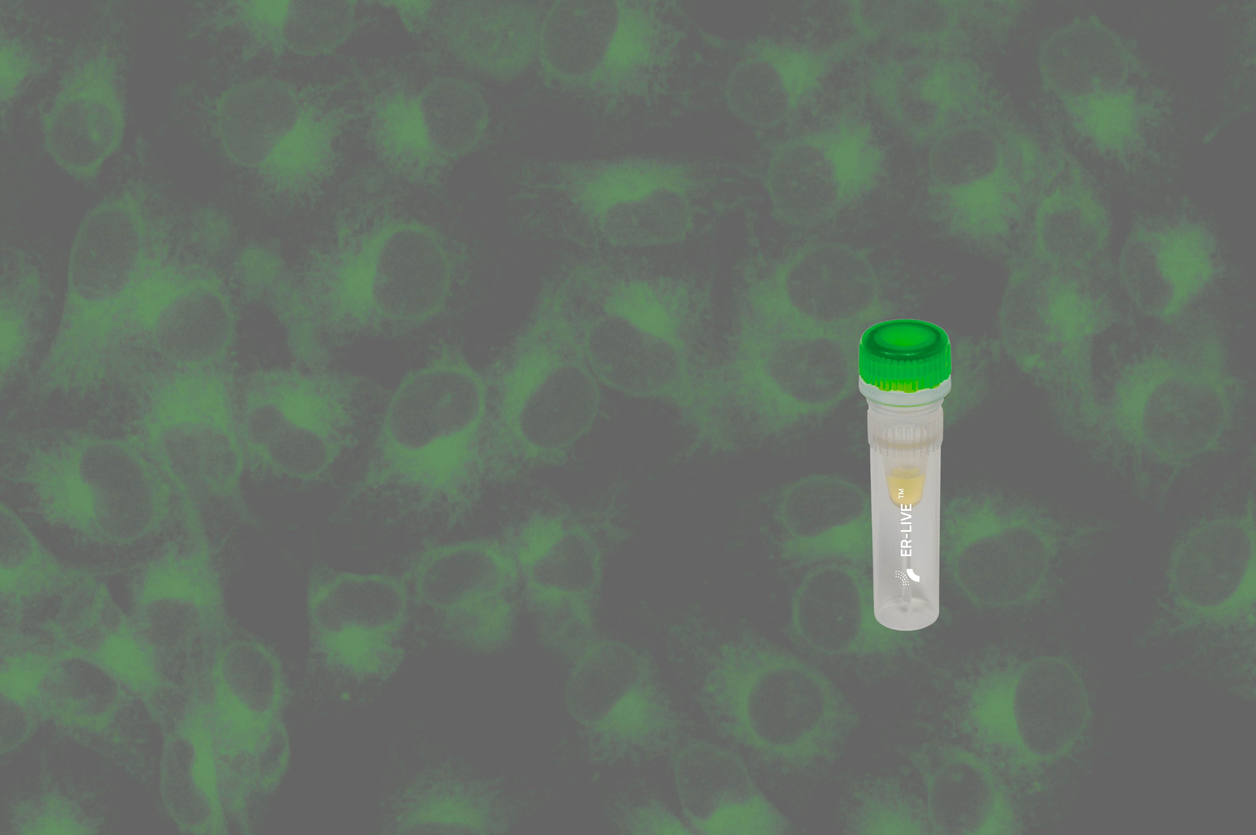 ER-LIVE_web_page_background_image_Oct_2025.png