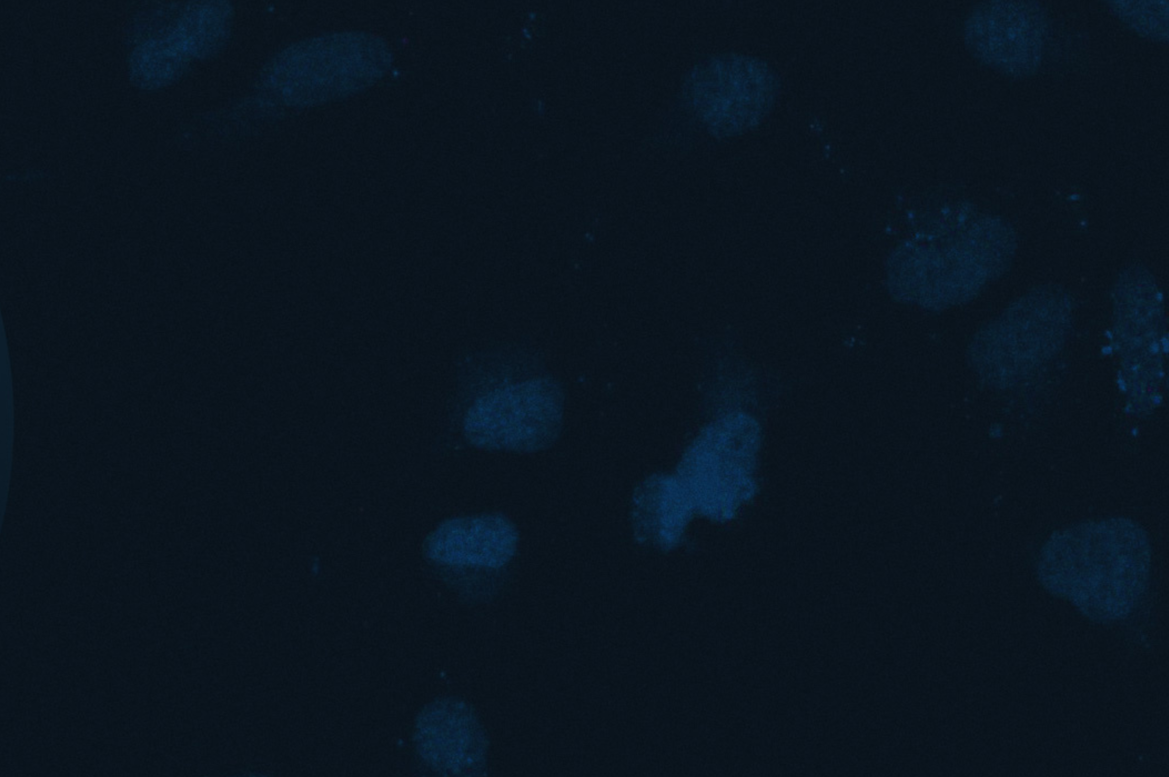 NucleoLIVE_web_page_background_no_tube_image_Oct_2025.png