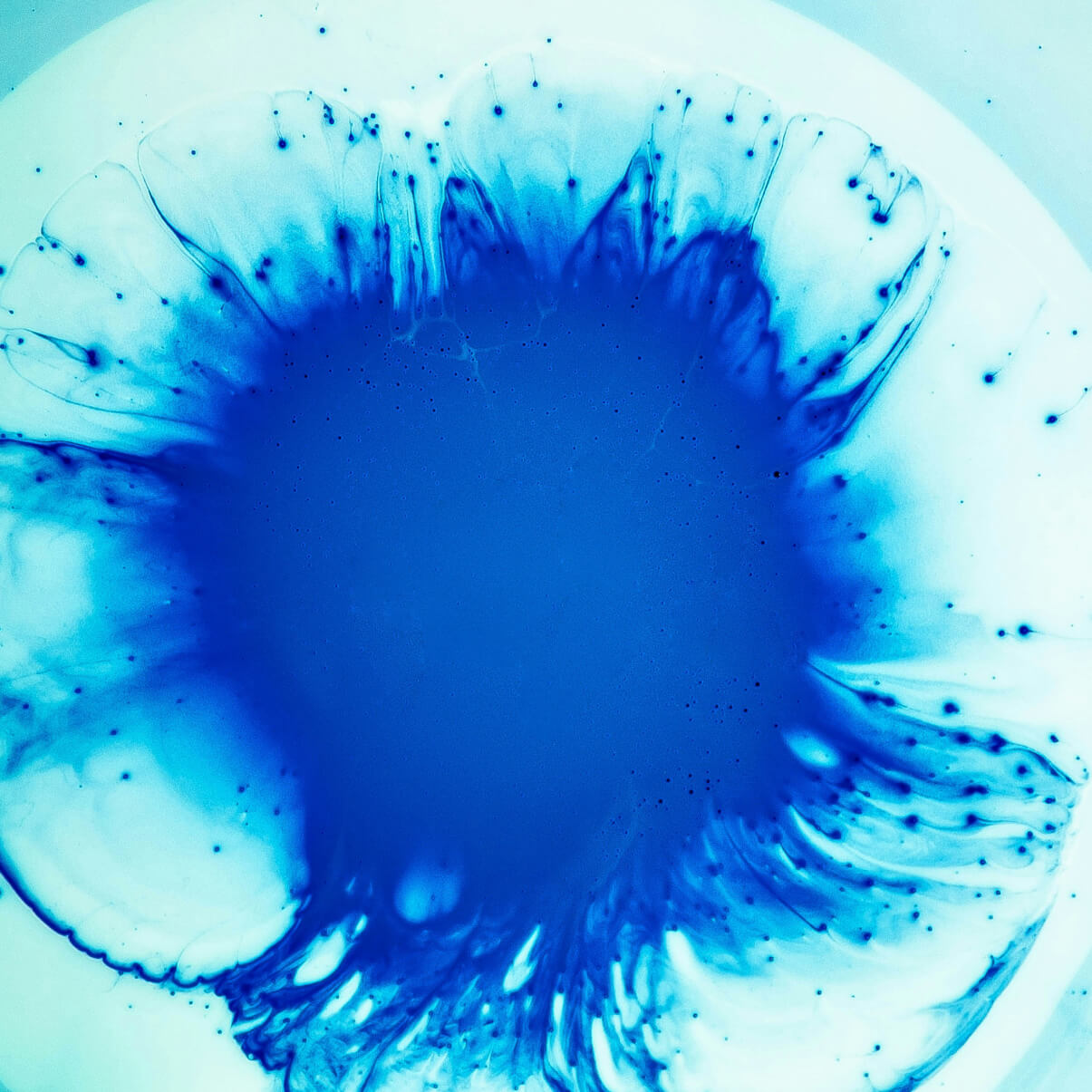 Bioinformatics Scientist