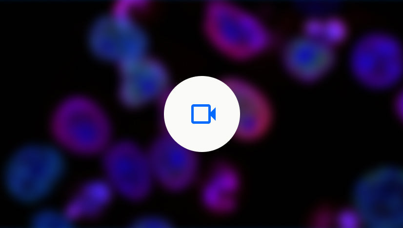 Live-cell timelapse video with ChromaLIVE™ non-toxic dye on the Yokogawa CQ1 imager