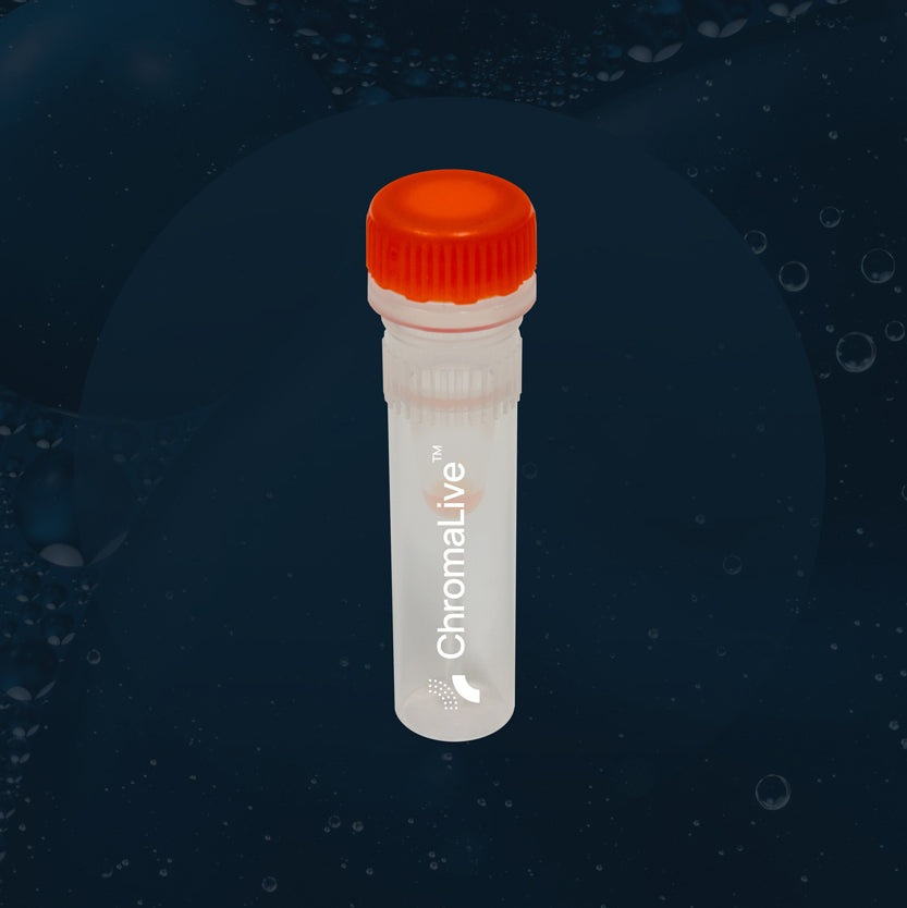 ChromaLive_Flasks_1x1_WEB.jpg