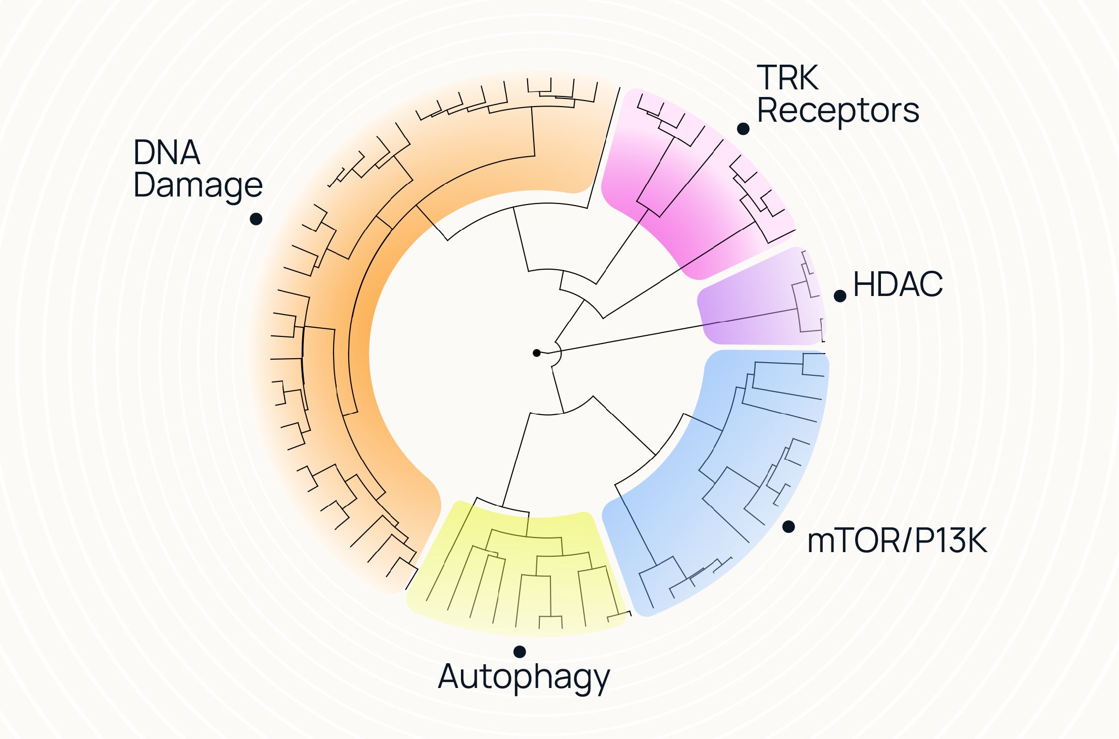 Advanced Profiling Analysis