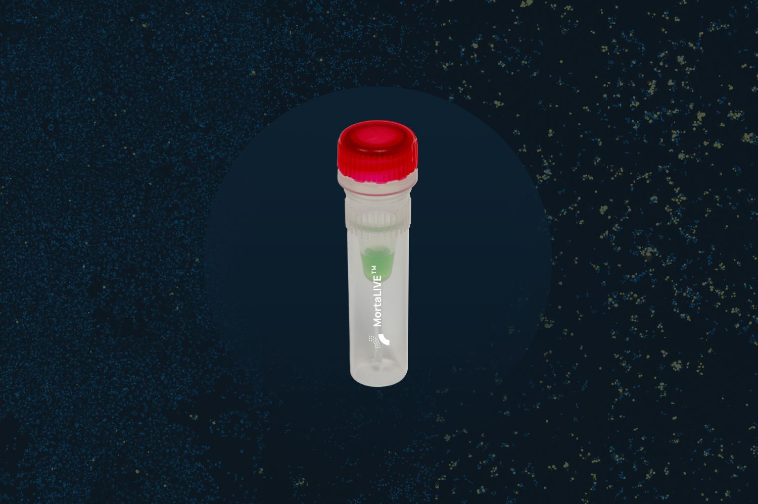 MortaLIVE, non-toxic, real time monitoring of cell viability and cytotoxicity 
