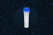 Live cell, Non-toxic Nuclear dye for real time Nuclear segmentation, Cells segmentation and long term imaging in 2D and 3D