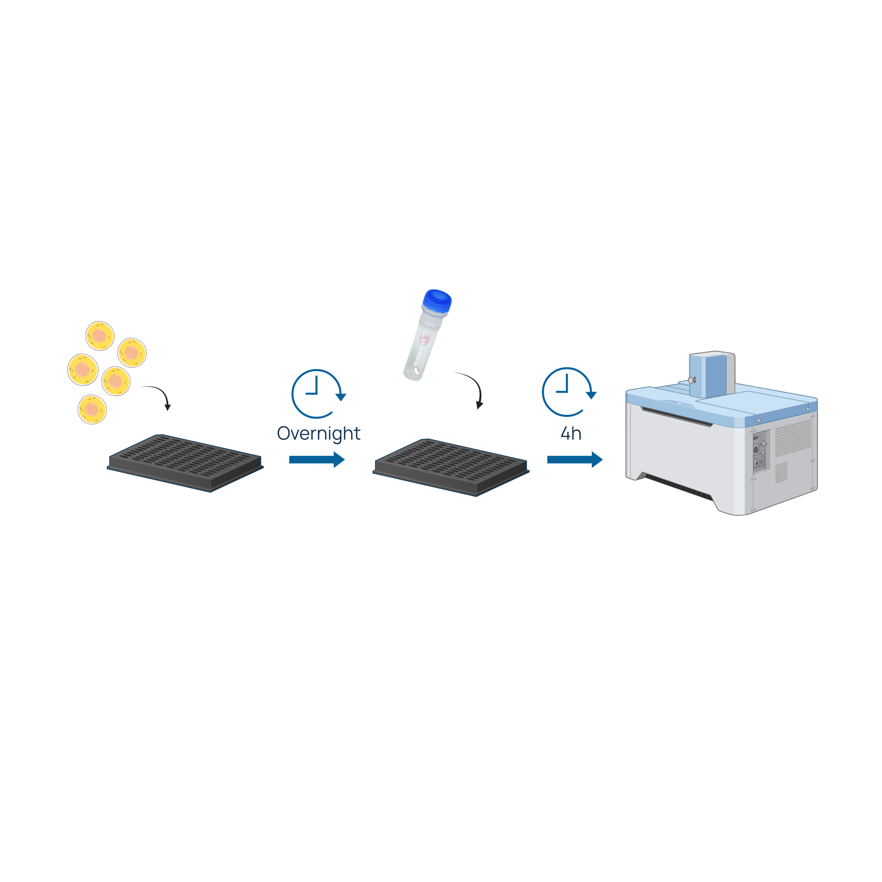 nucleoLIVE_schematics_protocol.png