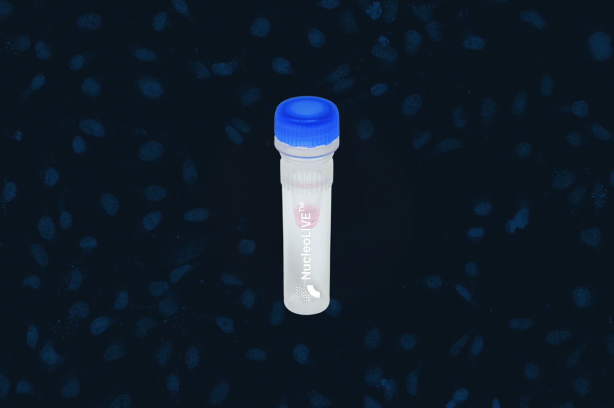 NucleoLIVE™ Non‑Toxic Nuclear Dye – Saguaro Biosciences